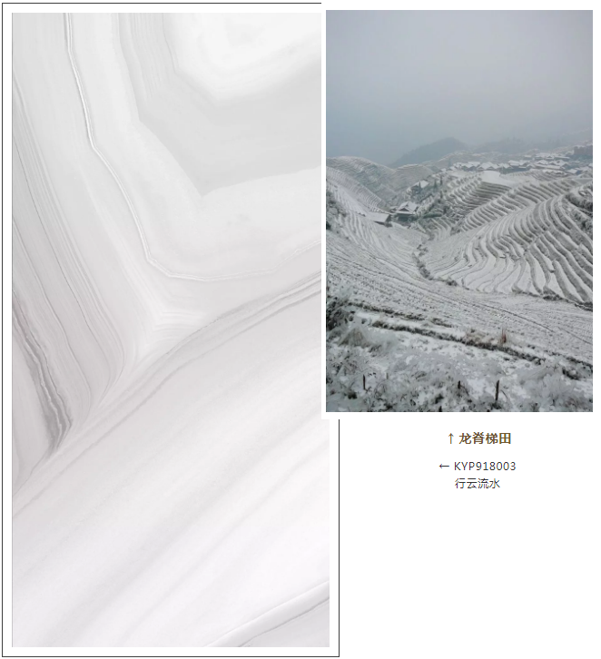 首页| 217永信贵宾会官网入口