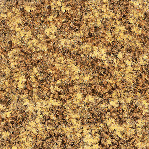 217永信贵宾会2.0厚微晶石：浅金啡KFB88012单片