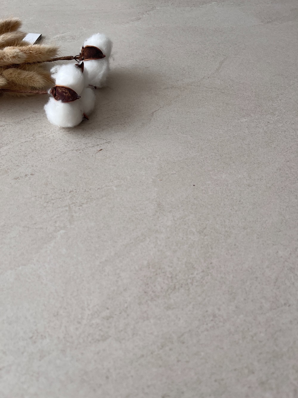 首页| 217永信贵宾会官网入口